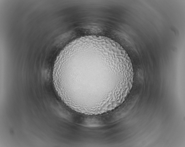 X0000111780177200908061123