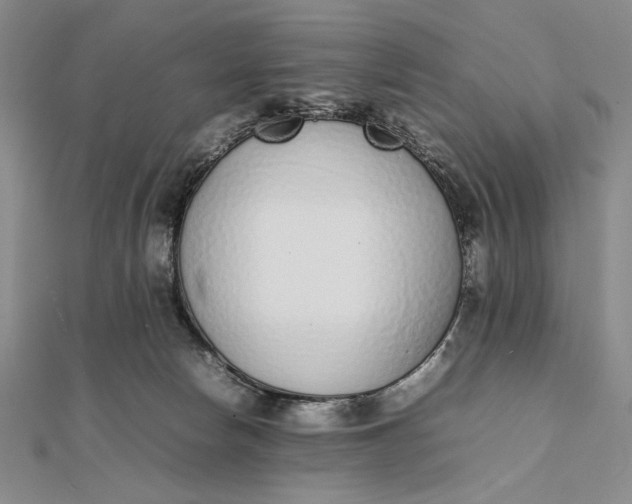 X0000111780178200908061123