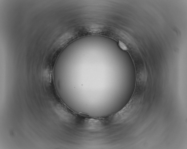 X0000111780180200908061123
