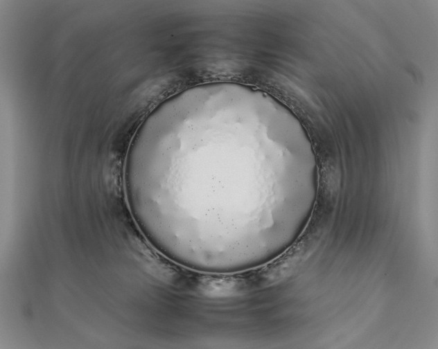 X0000111780181200908061123
