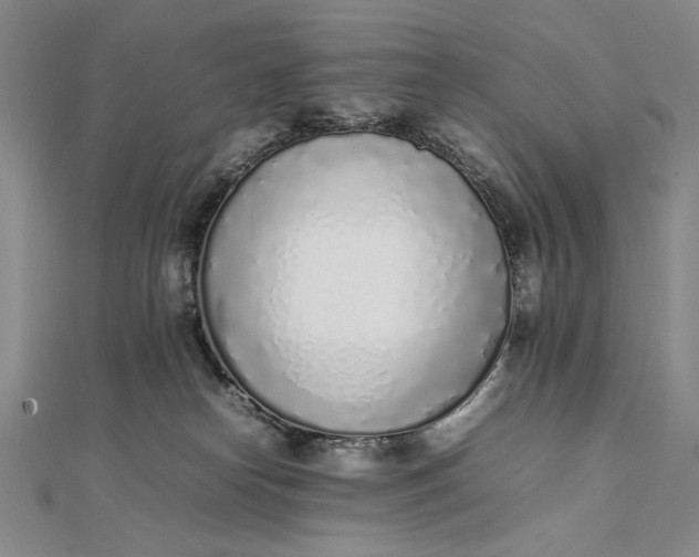 X0000111780182200908061123