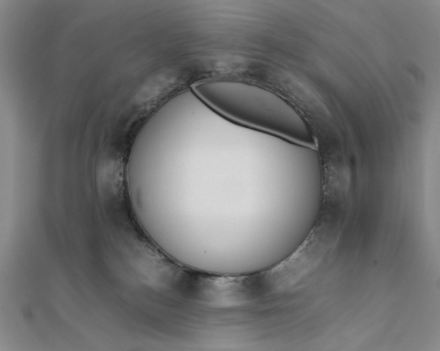X0000111780184200908061123