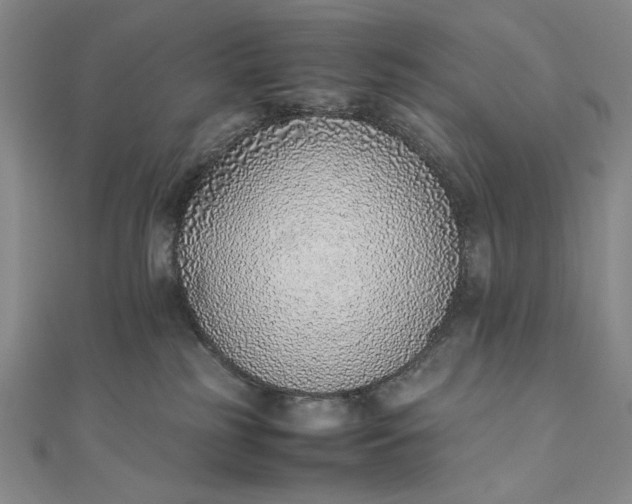 X0000111780185200908061123