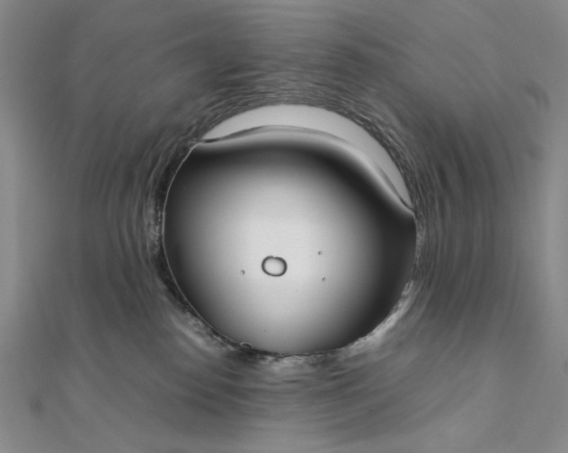 X0000111780186200908061123