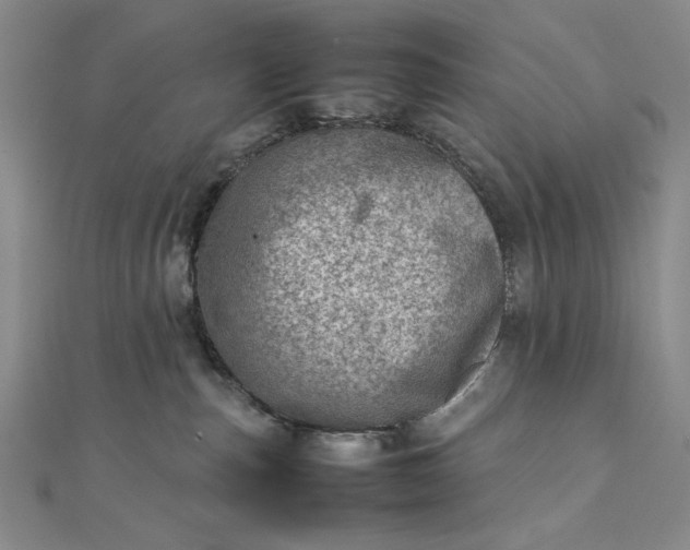 X0000111780187200908061123