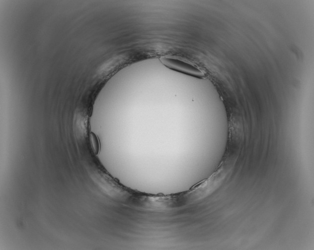 X0000111780188200908061123