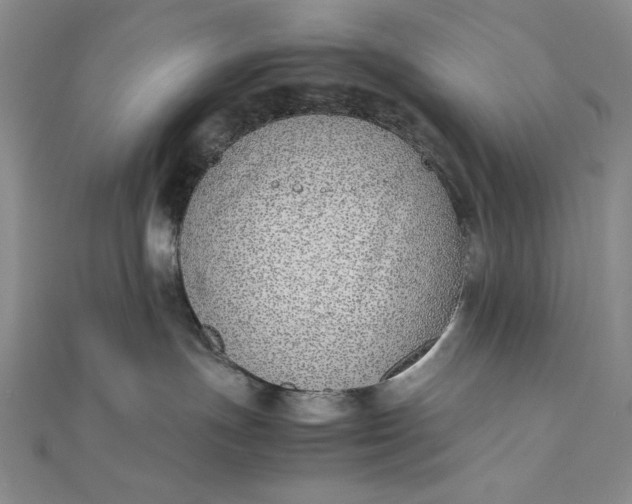 X0000111780191200908061123