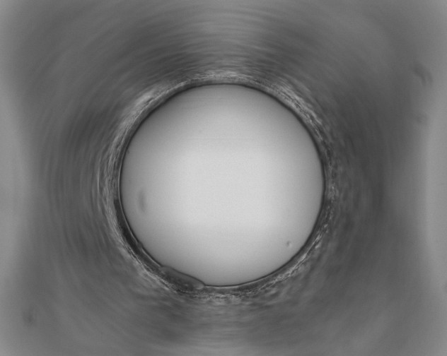 X0000111780193200908061122