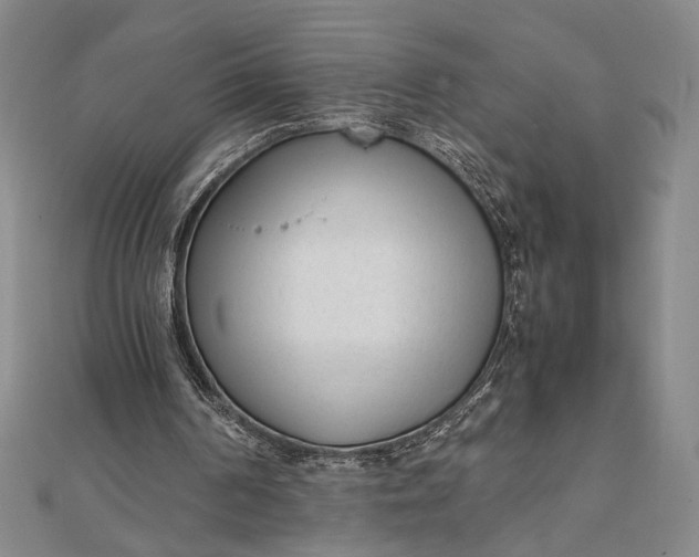 X0000111780194200908061122