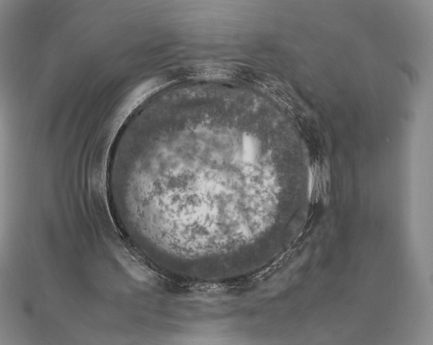 X0000111780195200908061122