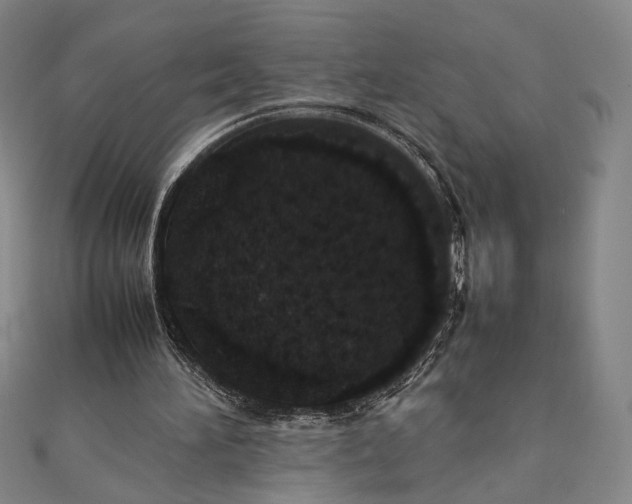 X0000111780196200908061122