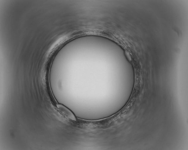 X0000111780197200908061122