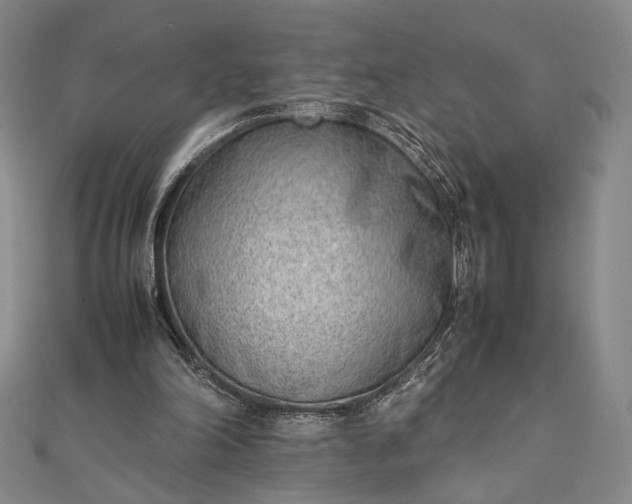X0000111780198200908061122