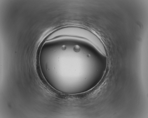 X0000111780199200908061122