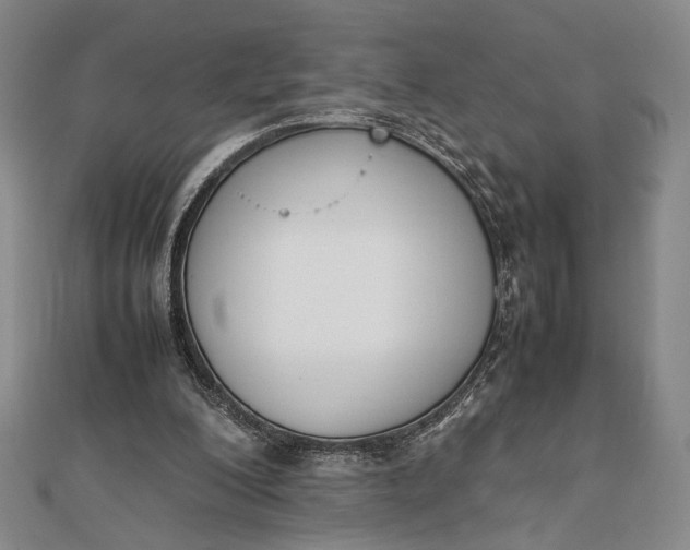 X0000111780200200908061122