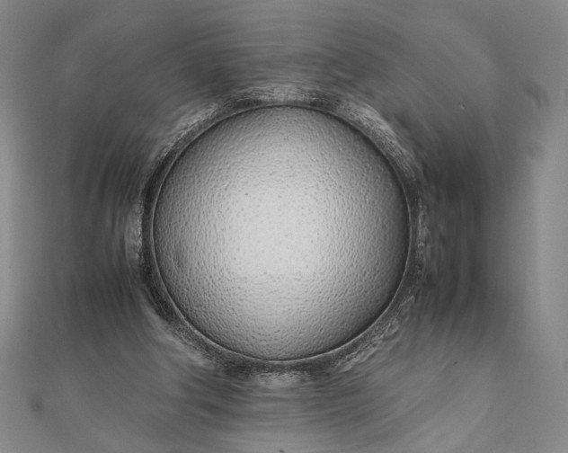 X0000111780202200908061122