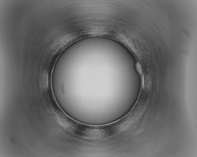 X0000111780205200908061122