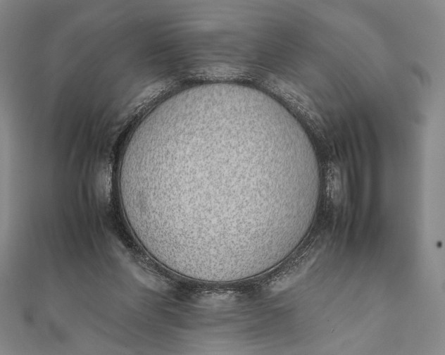 X0000111780206200908061122
