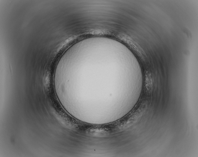 X0000111780208200908061122