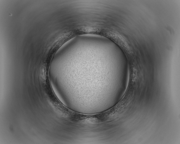 X0000111780210200908061122