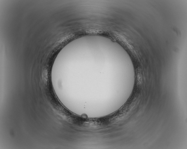 X0000111780211200908061122