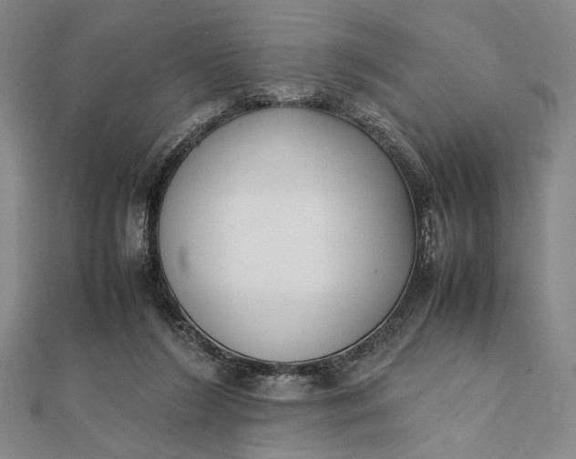 X0000111780212200908061122