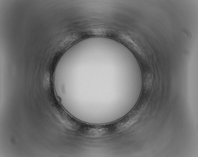 X0000111780213200908061122