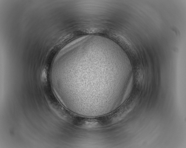 X0000111780214200908061122