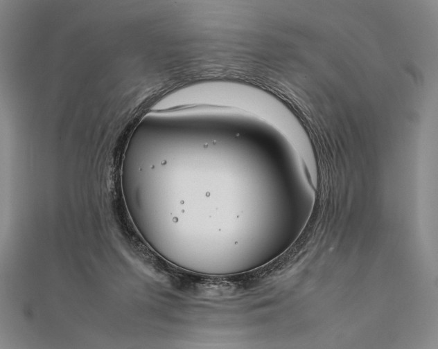 X0000111780215200908061122