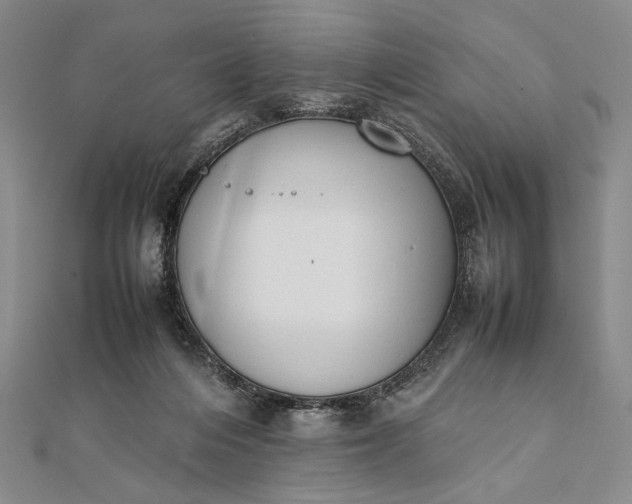 X0000111780216200908061122