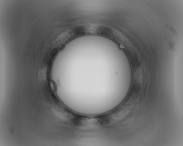 X0000111780217200908061122