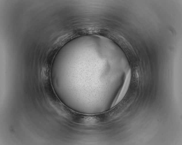 X0000111780218200908061122
