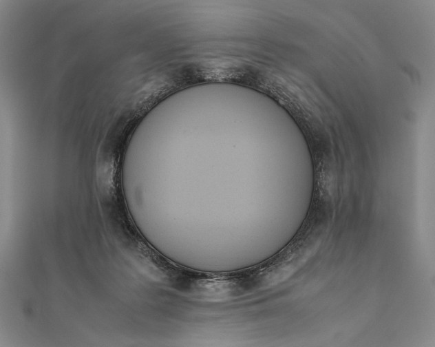 X0000111780219200908061122
