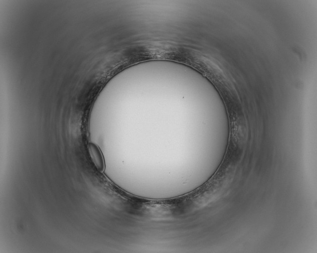 X0000111780221200908061122