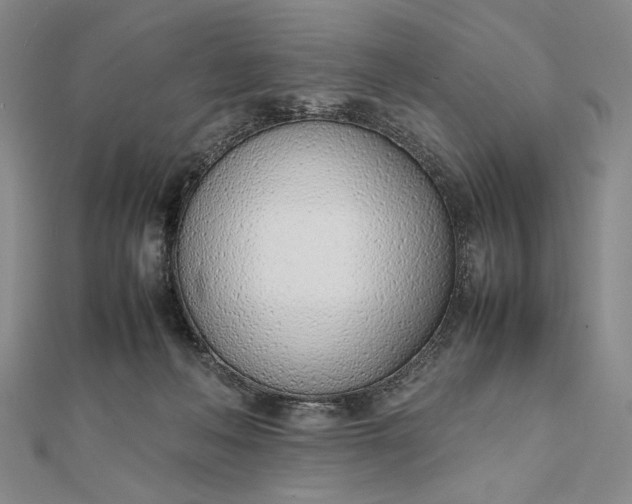 X0000111780222200908061122