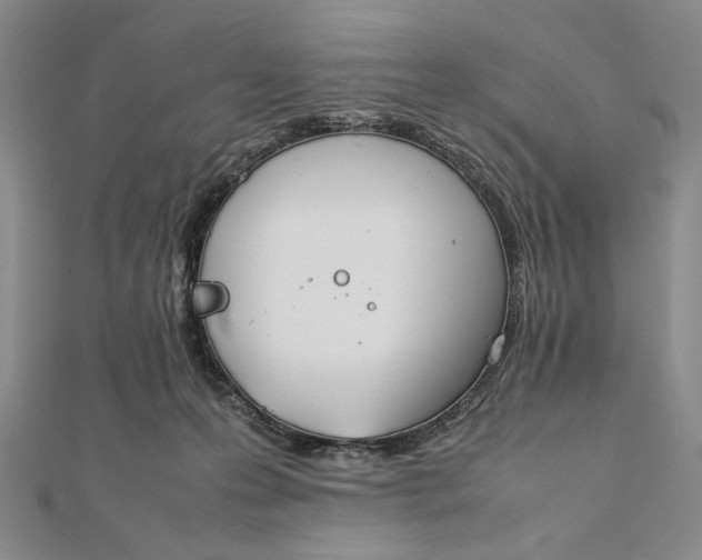 X0000111780223200908061122