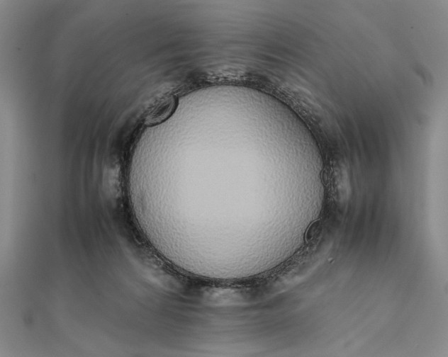X0000111780224200908061122