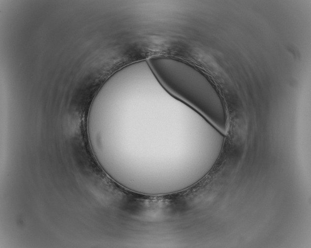 X0000111780225200908061122