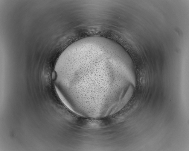 X0000111780226200908061122