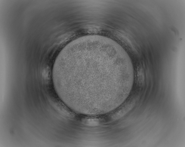 X0000111780228200908061122