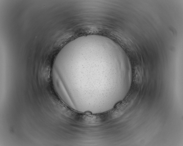 X0000111780230200908061122