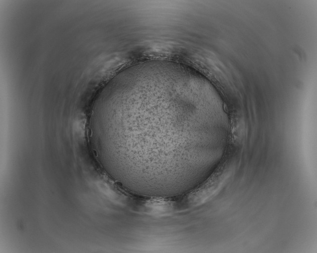X0000111780231200908061122