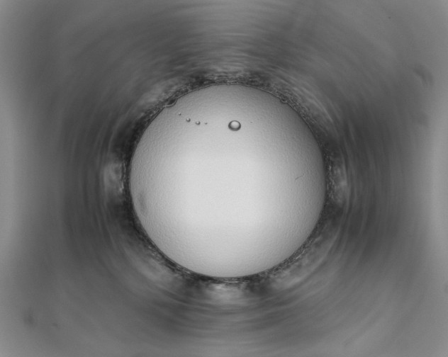 X0000111780232200908061122
