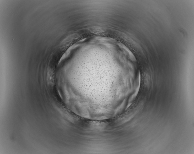 X0000111780234200908061122