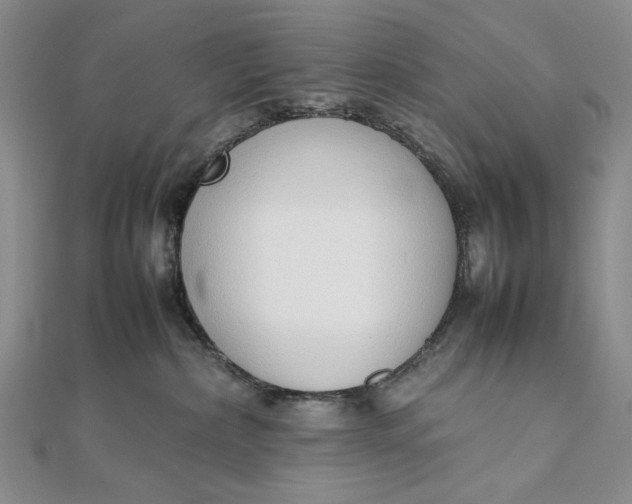X0000111780236200908061122