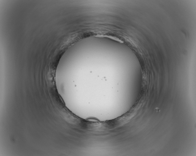 X0000111780237200908061122