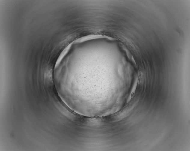 X0000111780238200908061122