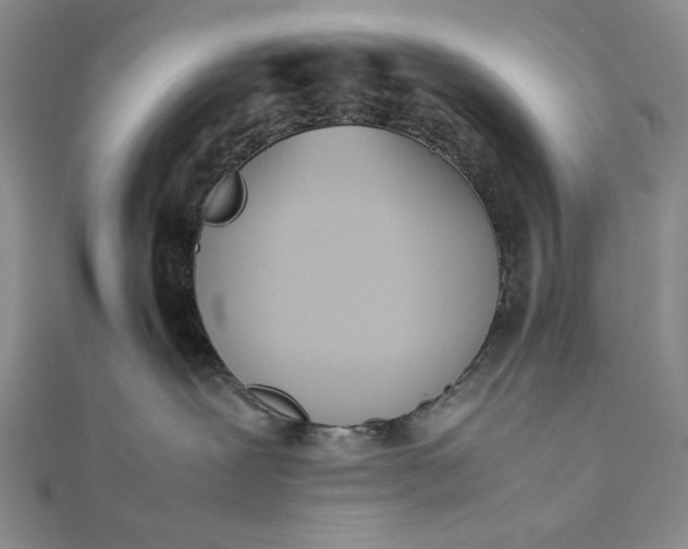 X0000111780239200908061122