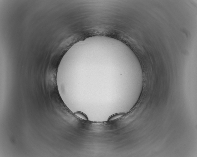 X0000111780240200908061122