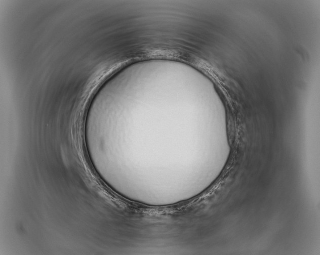 X0000111780241200908061121